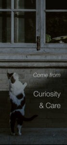 Photo of a curious cat with overlaid text that reads Come from Curiosity & Care