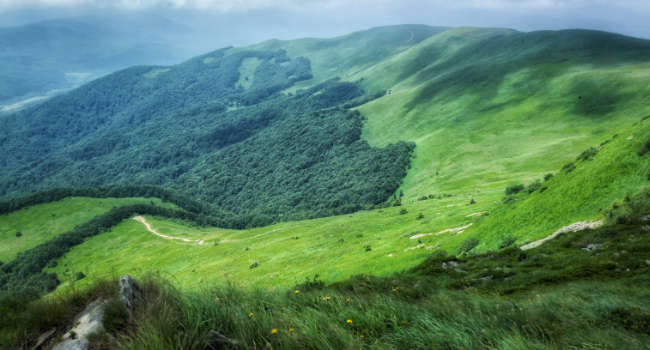 Photo of rolling green hills